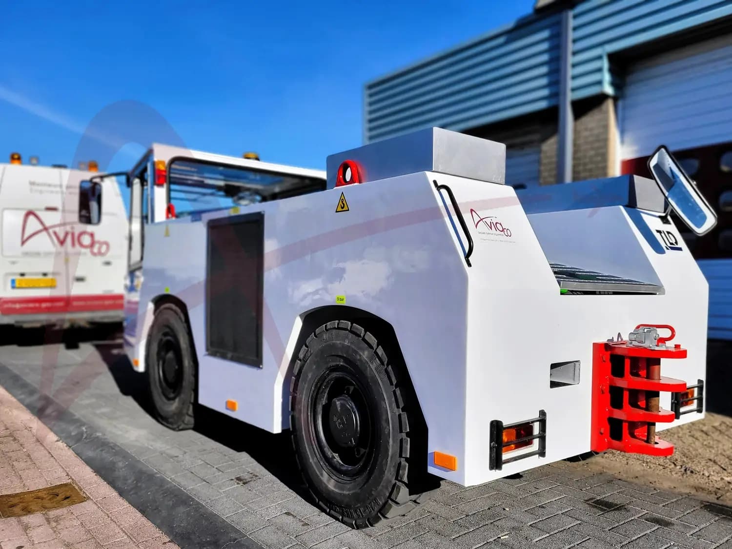 TLD TMX-100
